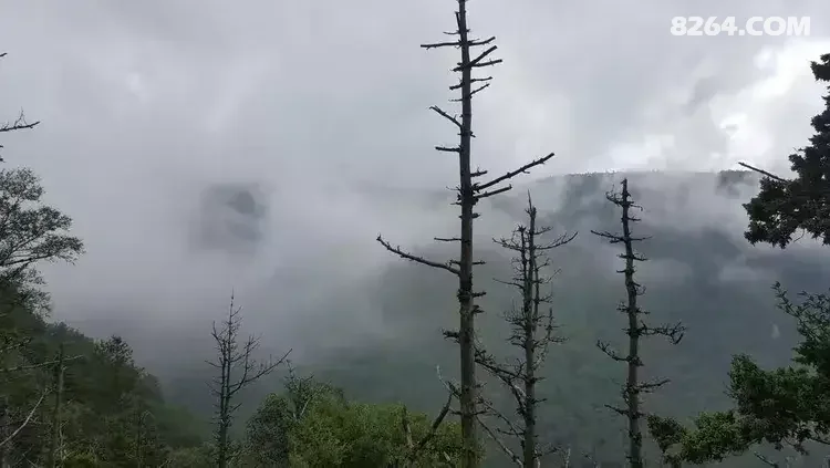 1786777031810 - 徒步登山 穿越攀岩 雪山步道 户外路线 在野 去没有天花板的地方