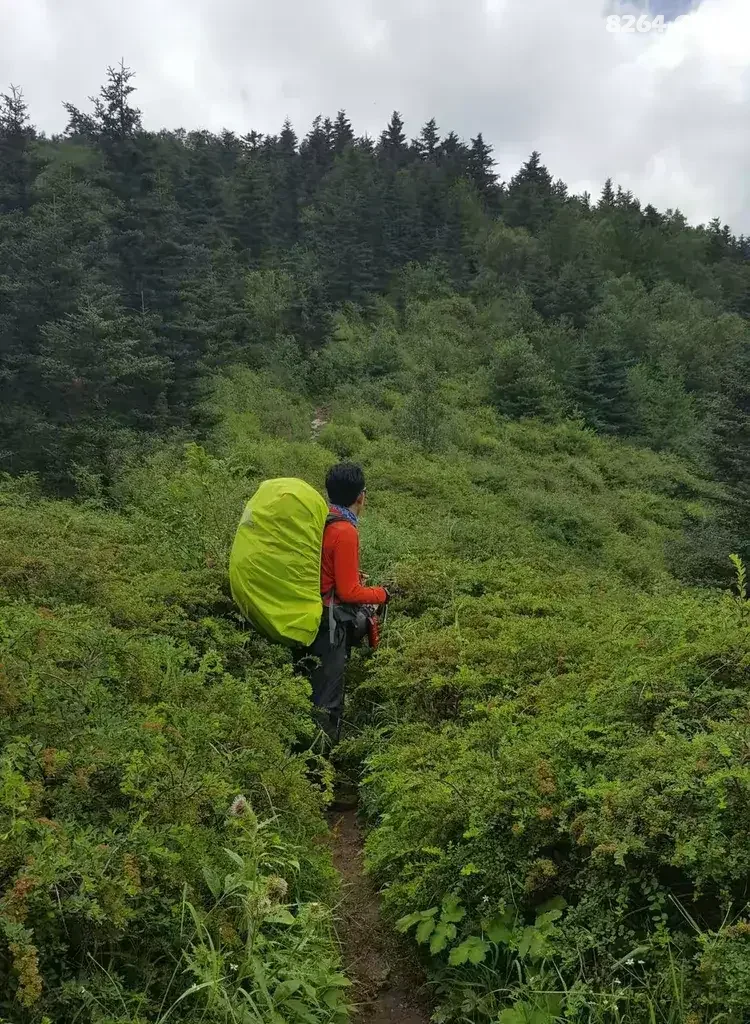 1786777033473 - 徒步登山 穿越攀岩 雪山步道 户外路线 在野 去没有天花板的地方