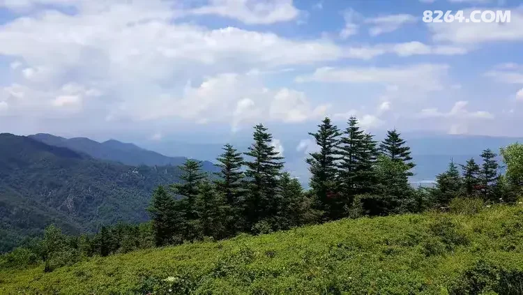 1786777034138 - 徒步登山 穿越攀岩 雪山步道 户外路线 在野 去没有天花板的地方