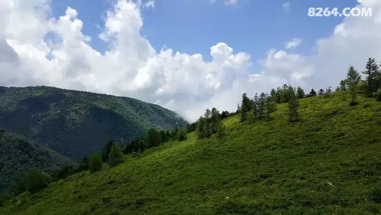 1786777034825 - 徒步登山 穿越攀岩 雪山步道 户外路线 在野 去没有天花板的地方