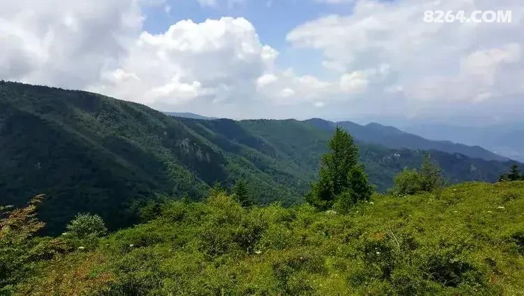 1786777034997 - 徒步登山 穿越攀岩 雪山步道 户外路线 在野 去没有天花板的地方
