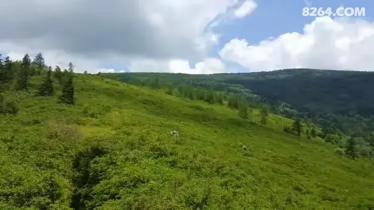 1786777035290 - 徒步登山 穿越攀岩 雪山步道 户外路线 在野 去没有天花板的地方