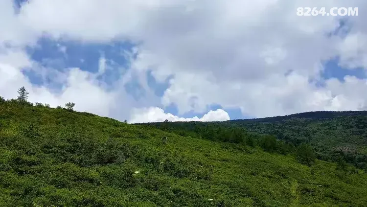 1786777036393 - 徒步登山 穿越攀岩 雪山步道 户外路线 在野 去没有天花板的地方