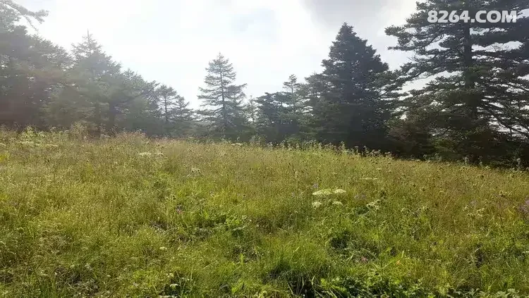 1786777038224 - 徒步登山 穿越攀岩 雪山步道 户外路线 在野 去没有天花板的地方