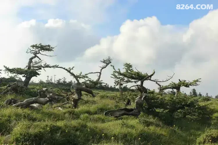 1786777040940 - 徒步登山 穿越攀岩 雪山步道 户外路线 在野 去没有天花板的地方
