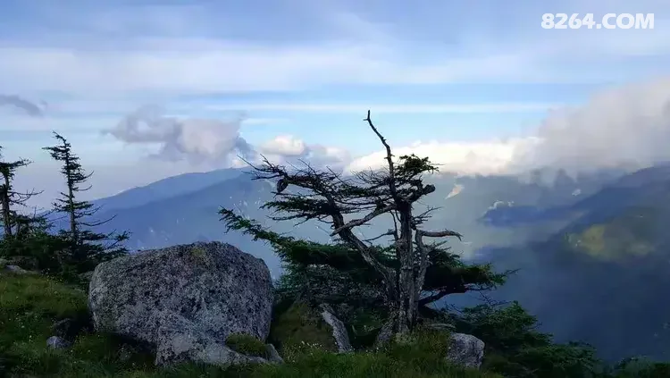 1786777042526 - 徒步登山 穿越攀岩 雪山步道 户外路线 在野 去没有天花板的地方