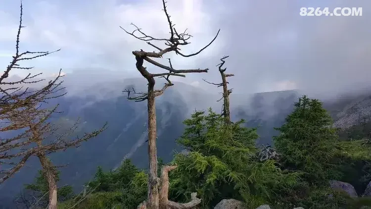 1786777043997 - 徒步登山 穿越攀岩 雪山步道 户外路线 在野 去没有天花板的地方