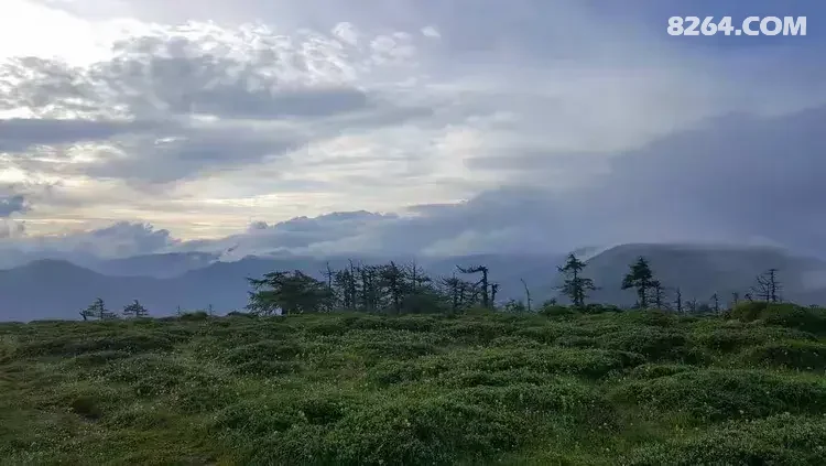 1786777171318 - 徒步登山 穿越攀岩 雪山步道 户外路线 在野 去没有天花板的地方
