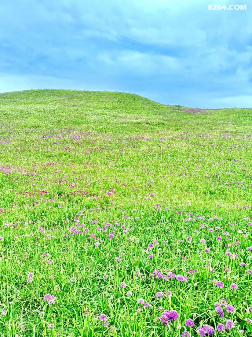 1788416386953 - 旅行故事 游记记录 感悟心得 见闻回忆 在野 去没有天花板的地方