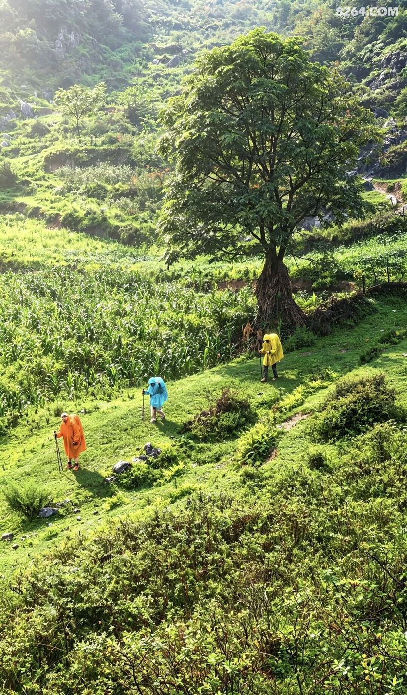 1788416394355 - 旅行故事 游记记录 感悟心得 见闻回忆 在野 去没有天花板的地方