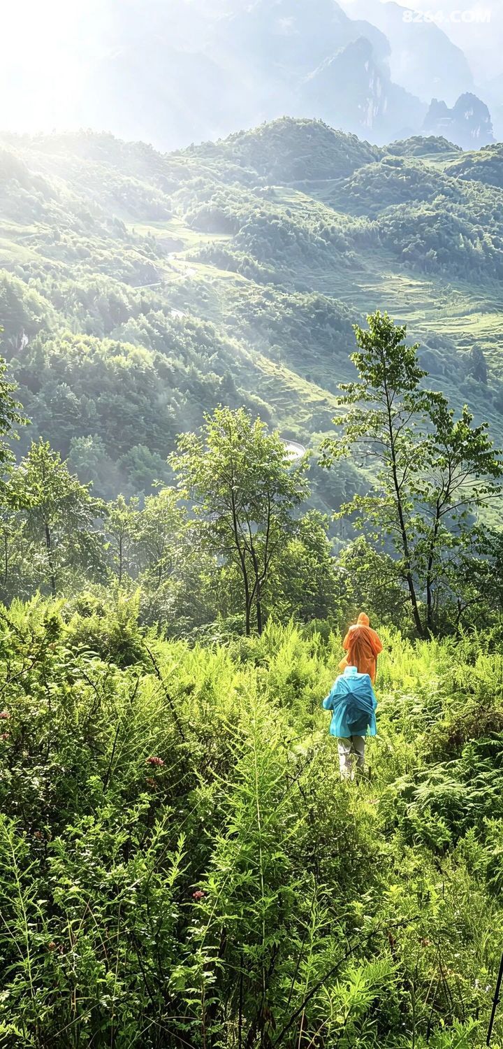 1788416400948 - 旅行故事 游记记录 感悟心得 见闻回忆 在野 去没有天花板的地方