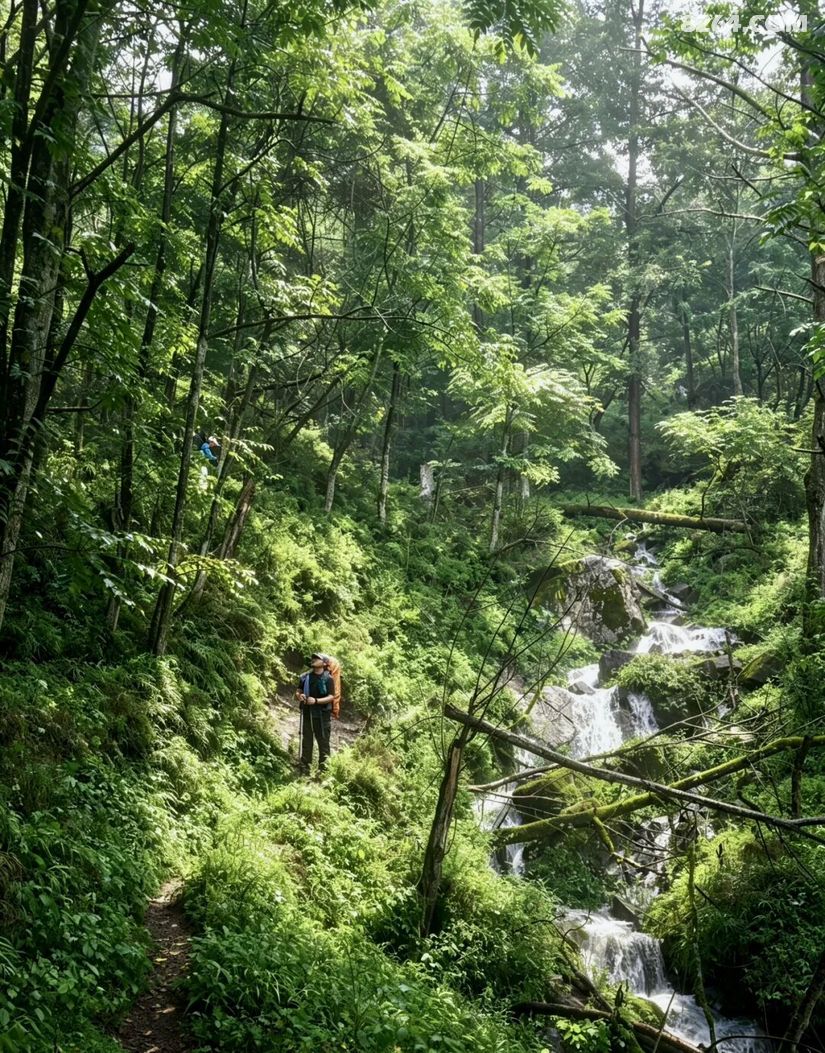 1788416401741 - 旅行故事 游记记录 感悟心得 见闻回忆 在野 去没有天花板的地方