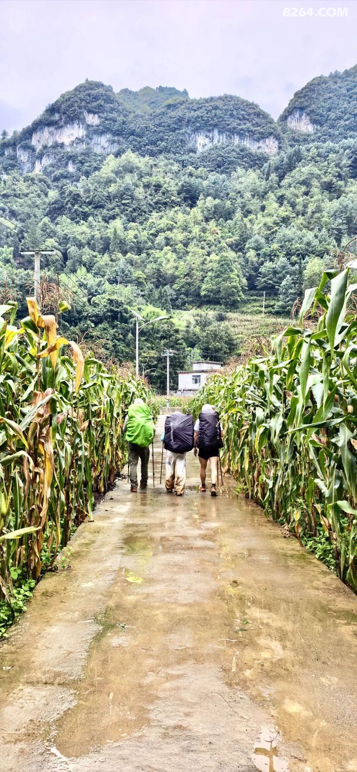 1788416407124 - 旅行故事 游记记录 感悟心得 见闻回忆 在野 去没有天花板的地方