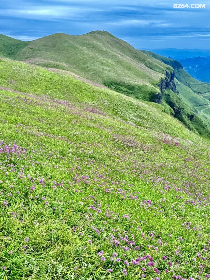 1788416421527 - 旅行故事 游记记录 感悟心得 见闻回忆 在野 去没有天花板的地方