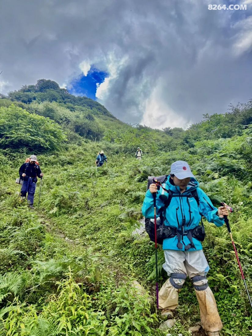 1788416432664 - 旅行故事 游记记录 感悟心得 见闻回忆 在野 去没有天花板的地方