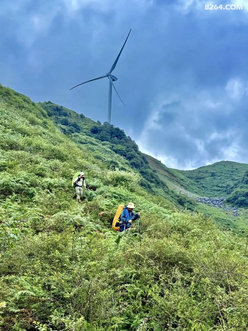 1788416433371 - 旅行故事 游记记录 感悟心得 见闻回忆 在野 去没有天花板的地方