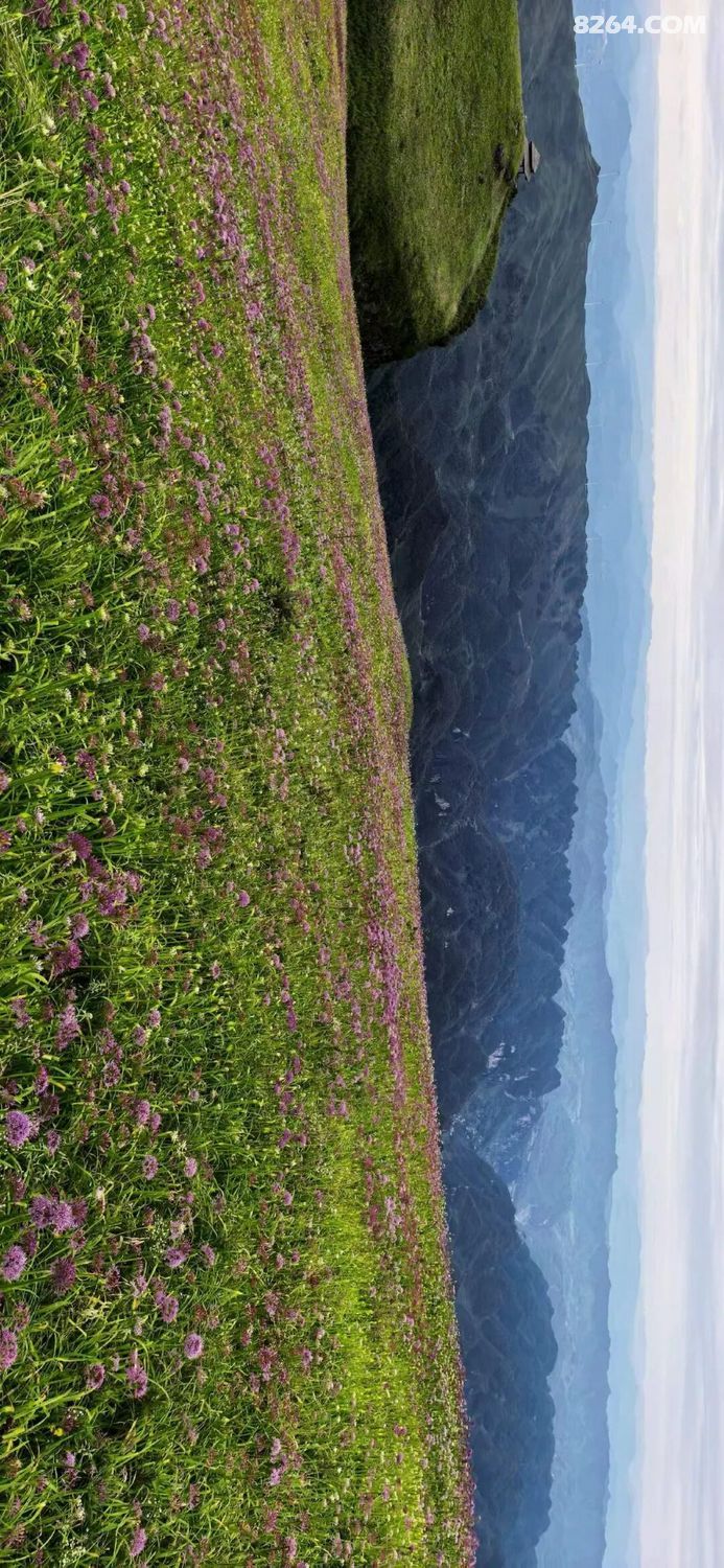 1788416436615 - 旅行故事 游记记录 感悟心得 见闻回忆 在野 去没有天花板的地方