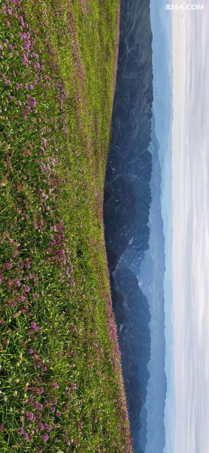 1788416437472 - 旅行故事 游记记录 感悟心得 见闻回忆 在野 去没有天花板的地方