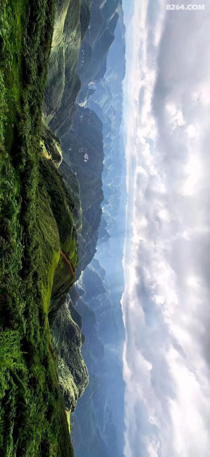 1788416444436 - 旅行故事 游记记录 感悟心得 见闻回忆 在野 去没有天花板的地方