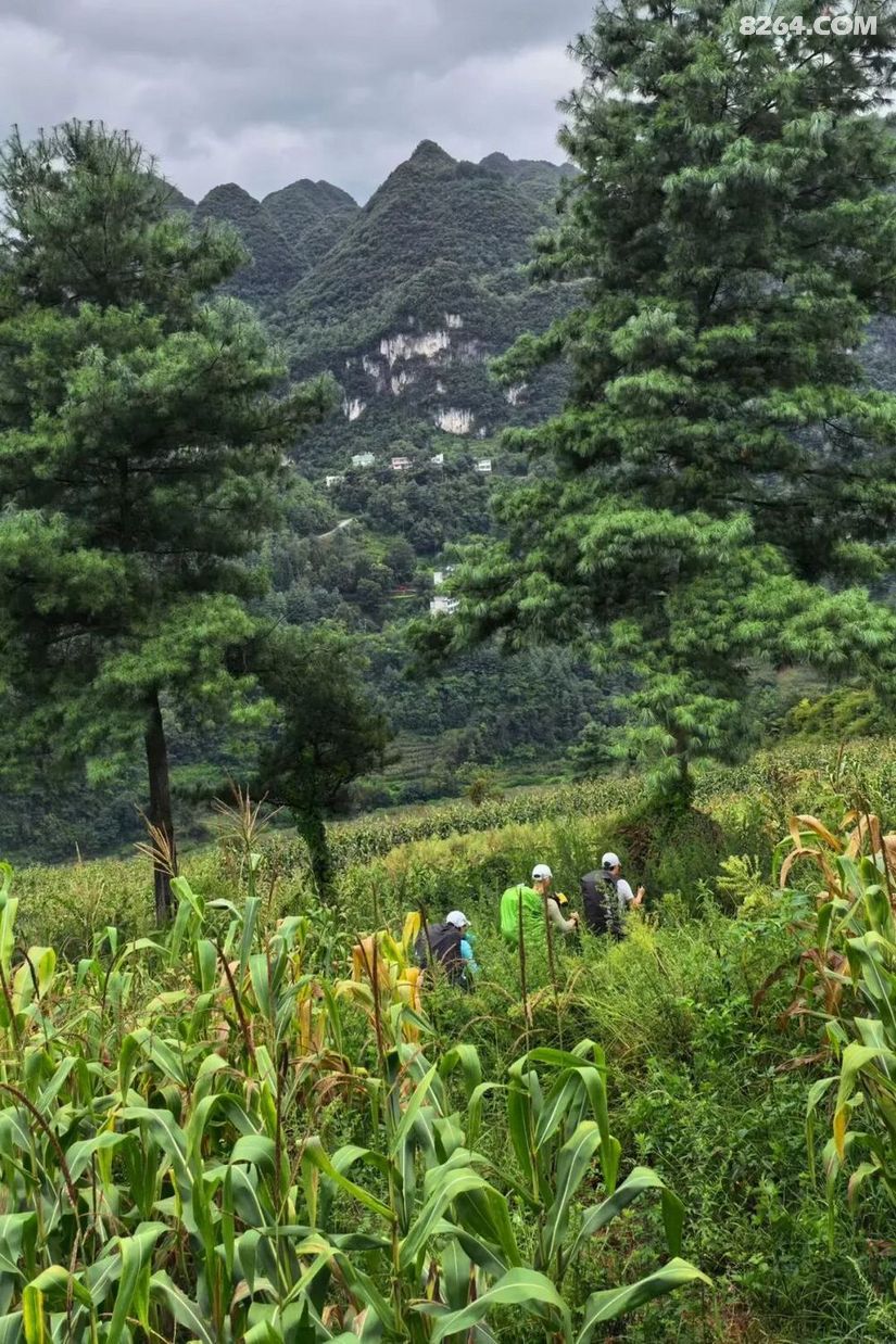 1788416446354 - 旅行故事 游记记录 感悟心得 见闻回忆 在野 去没有天花板的地方