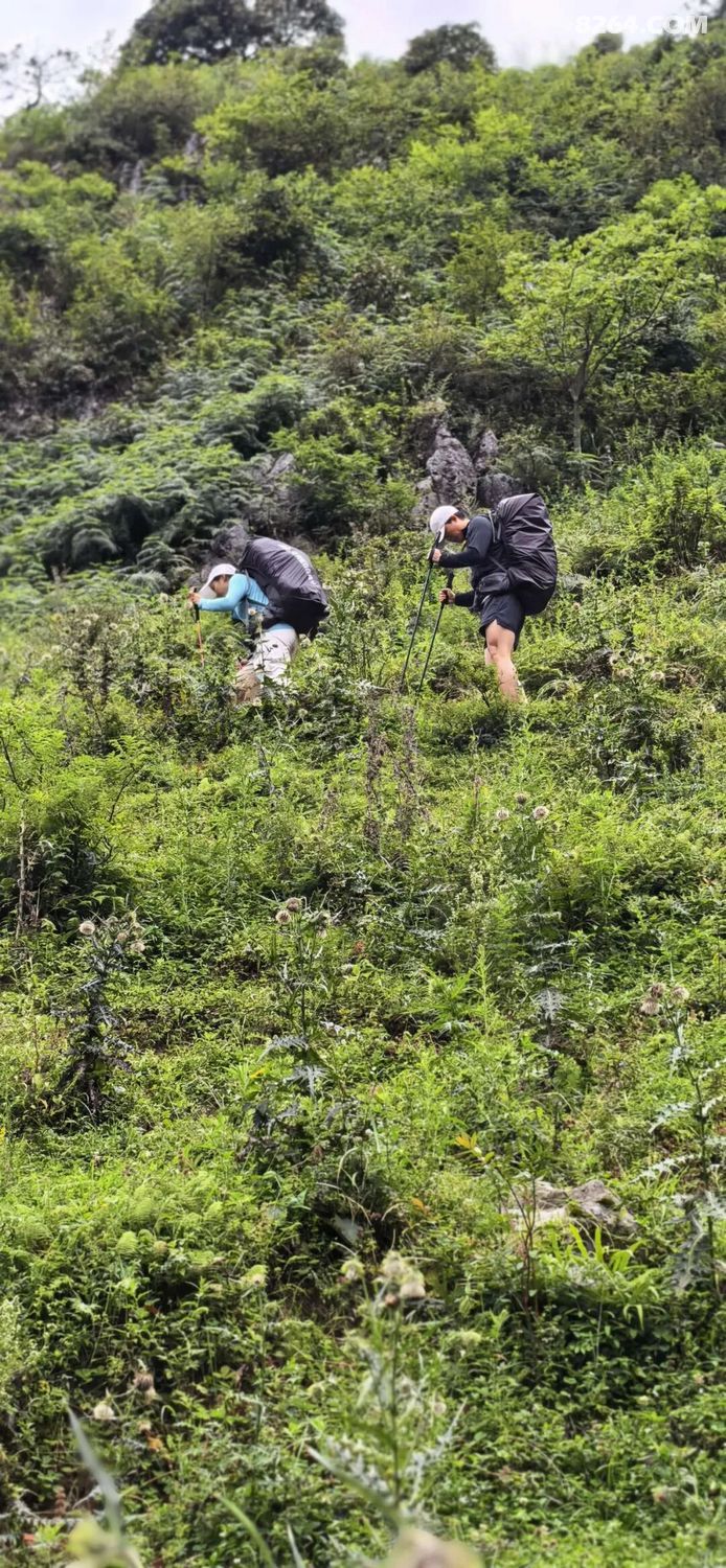 1788416450947 - 旅行故事 游记记录 感悟心得 见闻回忆 在野 去没有天花板的地方