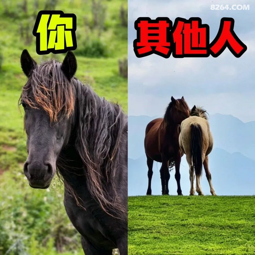 1788416455642 - 旅行故事 游记记录 感悟心得 见闻回忆 在野 去没有天花板的地方