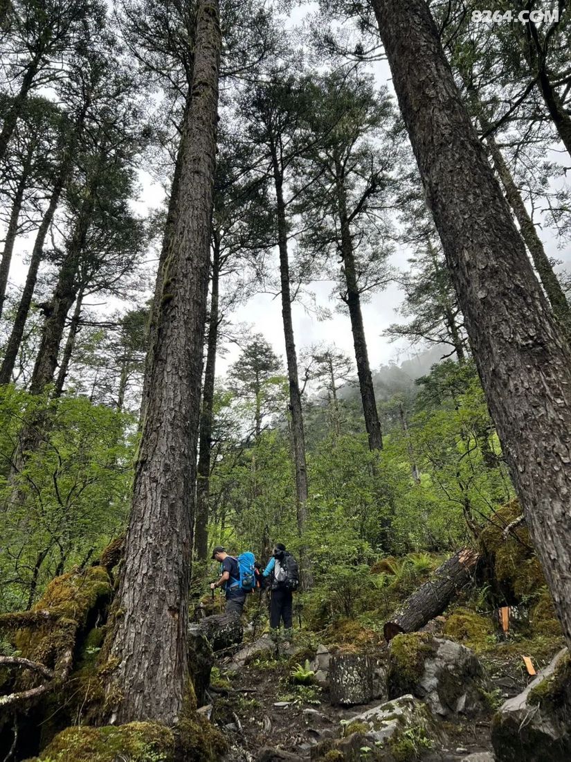 1788936733120 - 徒步登山 穿越攀岩 雪山步道 户外路线 在野 去没有天花板的地方