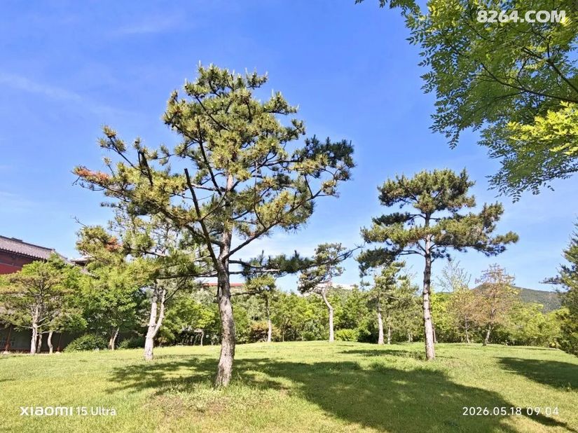 1789110477797 - 旅行杂谈 文化历史 民俗人文 交通贴士 在野 去没有天花板的地方