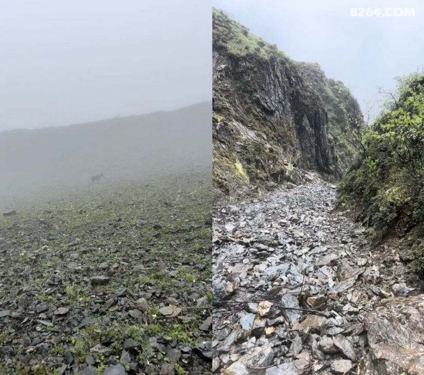 1789449008747 - 徒步登山 穿越攀岩 雪山步道 户外路线 在野 去没有天花板的地方
