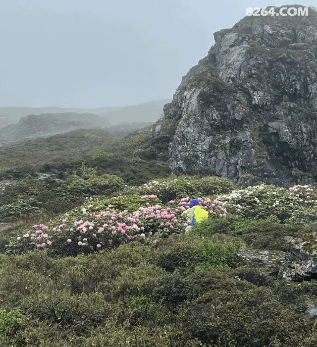 1789449008839 - 徒步登山 穿越攀岩 雪山步道 户外路线 在野 去没有天花板的地方