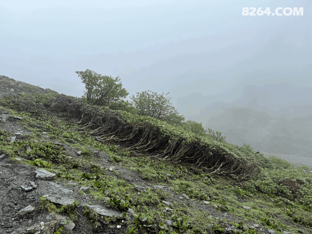 1789449012884 - 徒步登山 穿越攀岩 雪山步道 户外路线 在野 去没有天花板的地方