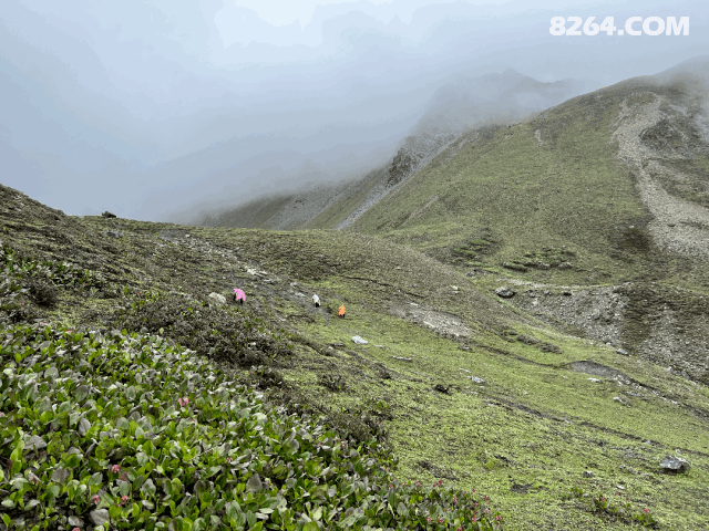 1789449017349 - 徒步登山 穿越攀岩 雪山步道 户外路线 在野 去没有天花板的地方