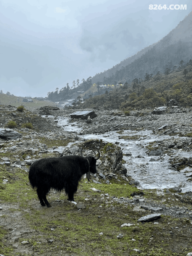 1789449114955 - 徒步登山 穿越攀岩 雪山步道 户外路线 在野 去没有天花板的地方