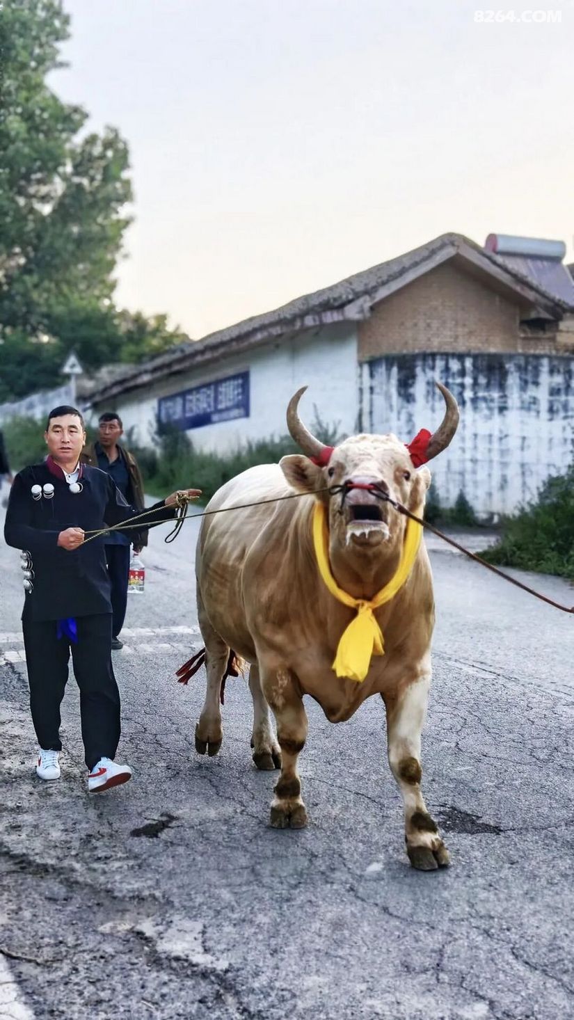 1790476973141 - 旅行杂谈 文化历史 民俗人文 交通贴士 在野 去没有天花板的地方