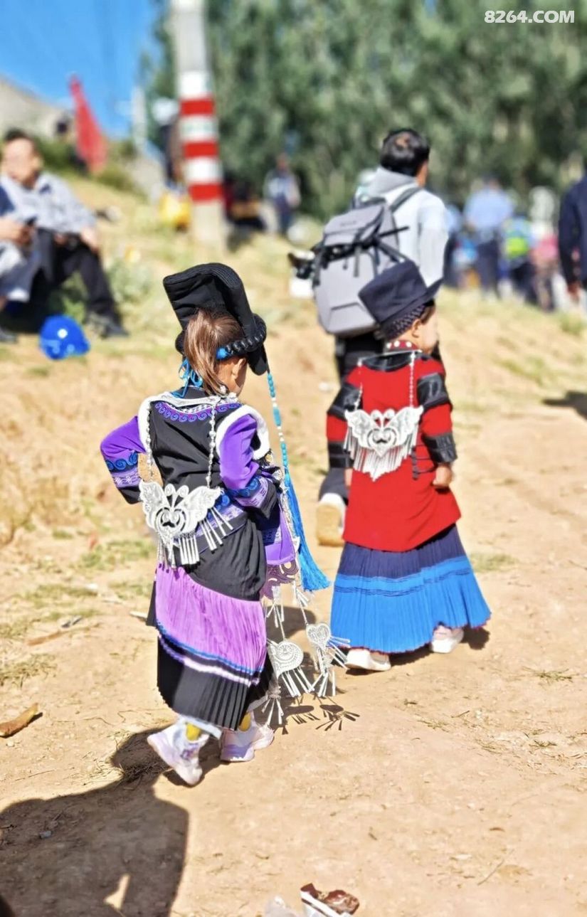 1790476983571 - 旅行杂谈 文化历史 民俗人文 交通贴士 在野 去没有天花板的地方