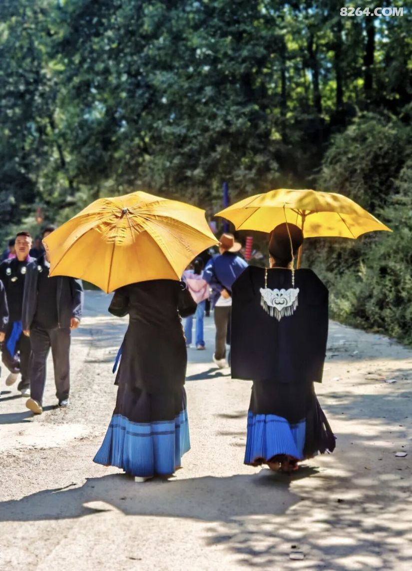 1790476994972 - 旅行杂谈 文化历史 民俗人文 交通贴士 在野 去没有天花板的地方