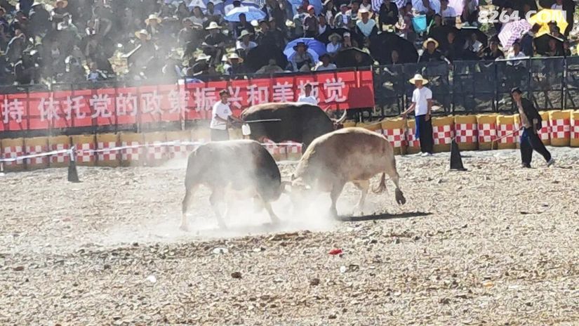 1790477002838 - 旅行杂谈 文化历史 民俗人文 交通贴士 在野 去没有天花板的地方