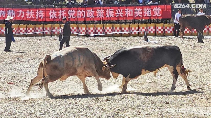 1790477004139 - 旅行杂谈 文化历史 民俗人文 交通贴士 在野 去没有天花板的地方