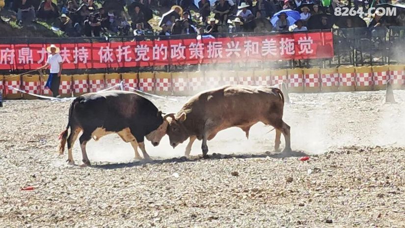 1790477004358 - 旅行杂谈 文化历史 民俗人文 交通贴士 在野 去没有天花板的地方