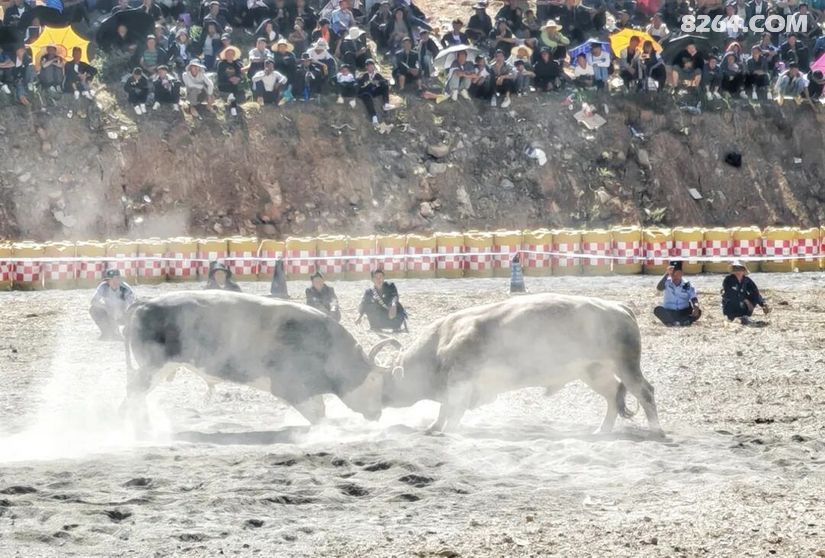 1790477005895 - 旅行杂谈 文化历史 民俗人文 交通贴士 在野 去没有天花板的地方