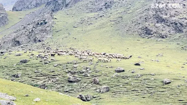 1790564882196 - 徒步登山 穿越攀岩 雪山步道 户外路线 在野 去没有天花板的地方