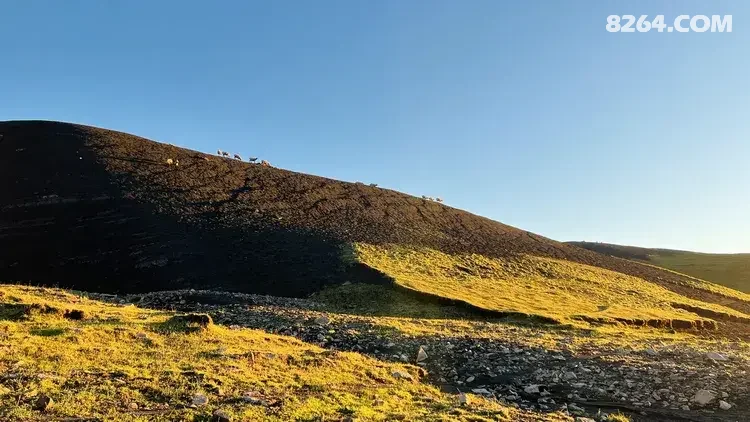 1790564886336 - 徒步登山 穿越攀岩 雪山步道 户外路线 在野 去没有天花板的地方