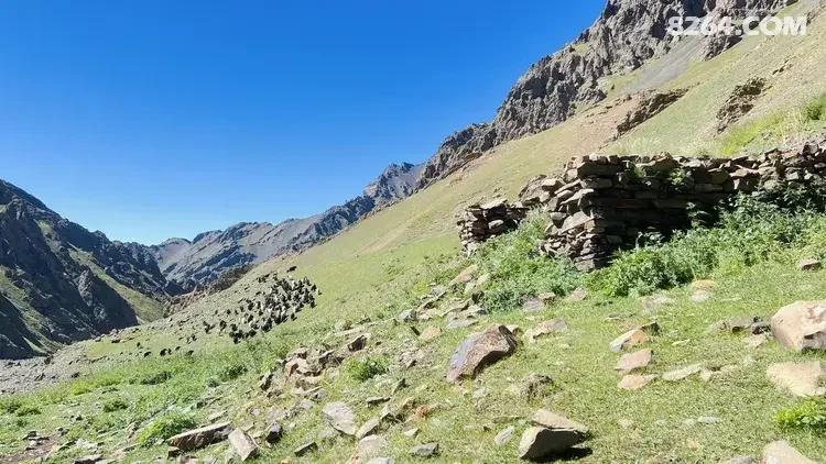 1790564892735 - 徒步登山 穿越攀岩 雪山步道 户外路线 在野 去没有天花板的地方
