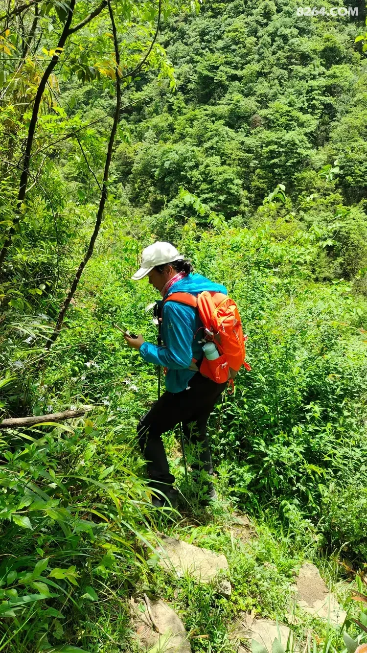 1790745457443 - 徒步登山 穿越攀岩 雪山步道 户外路线 在野 去没有天花板的地方