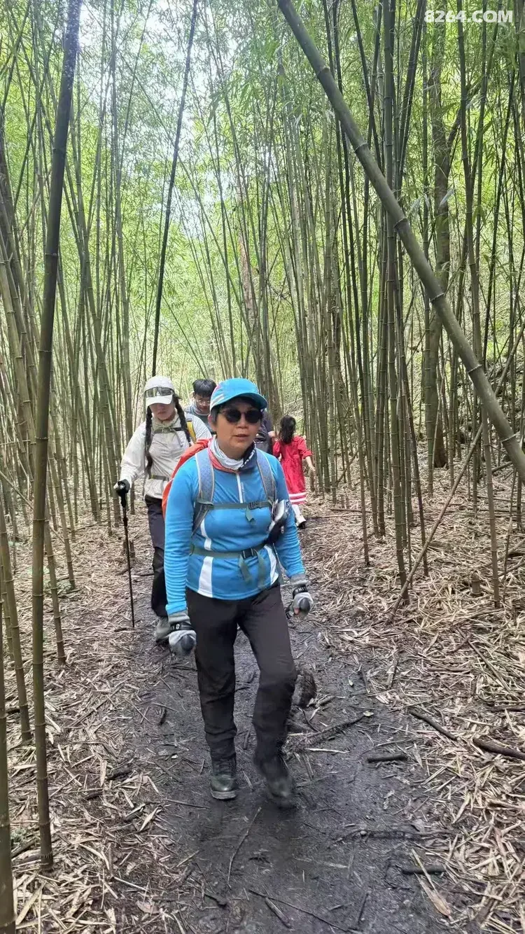 1790745462134 - 徒步登山 穿越攀岩 雪山步道 户外路线 在野 去没有天花板的地方