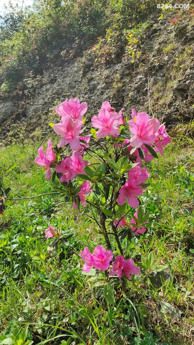 1790745466846 - 徒步登山 穿越攀岩 雪山步道 户外路线 在野 去没有天花板的地方