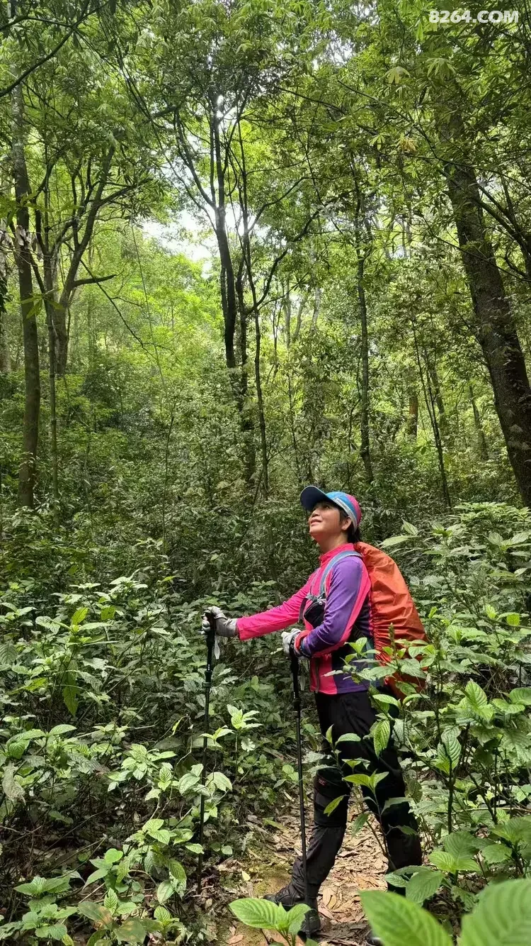 1790745477941 - 徒步登山 穿越攀岩 雪山步道 户外路线 在野 去没有天花板的地方