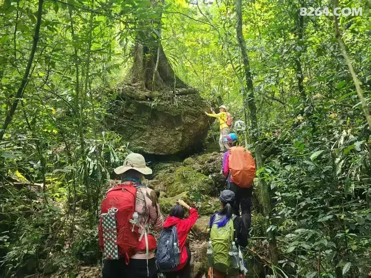 1790745479844 - 徒步登山 穿越攀岩 雪山步道 户外路线 在野 去没有天花板的地方