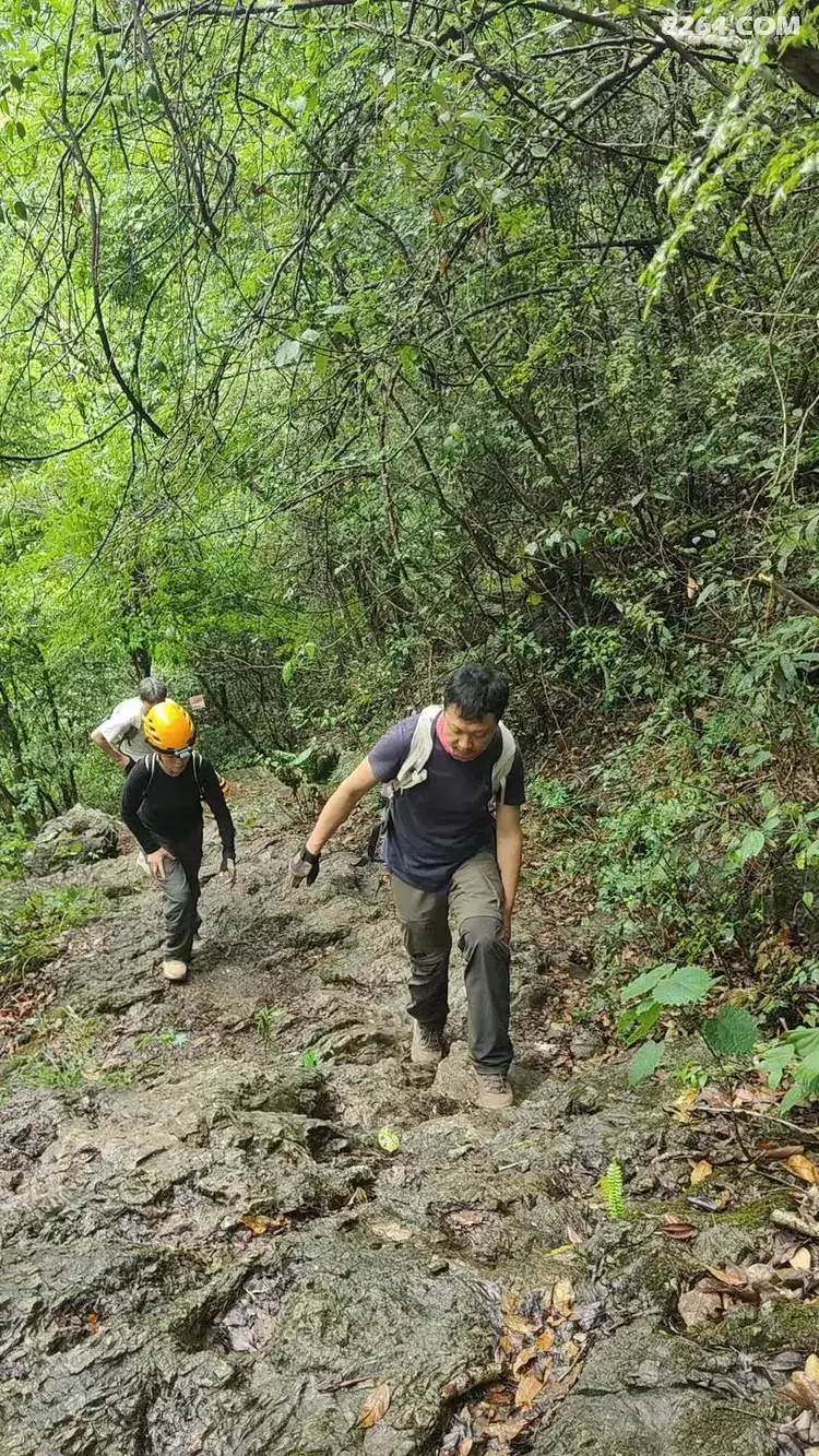 1790745489838 - 徒步登山 穿越攀岩 雪山步道 户外路线 在野 去没有天花板的地方