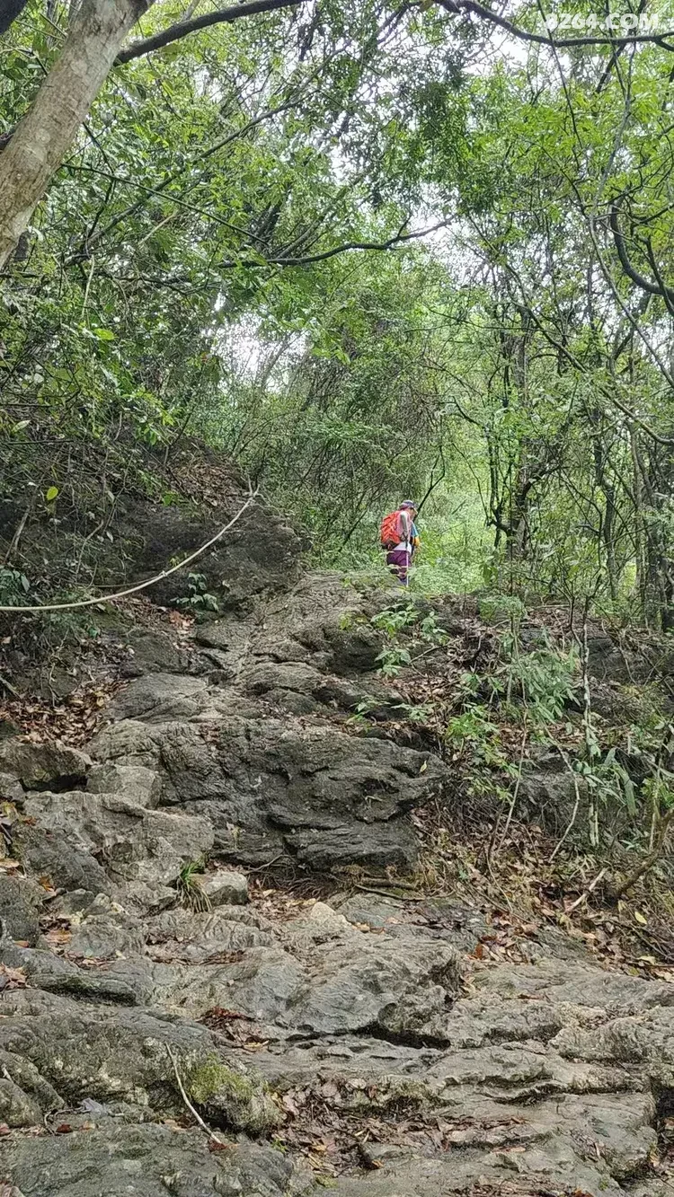 1790745490286 - 徒步登山 穿越攀岩 雪山步道 户外路线 在野 去没有天花板的地方